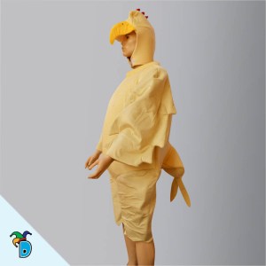 Disfraz Gallina